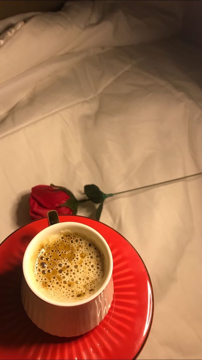 مو كل الناس قلبها مثل 
              قلبك 
     - أنتبه يا إنسان -