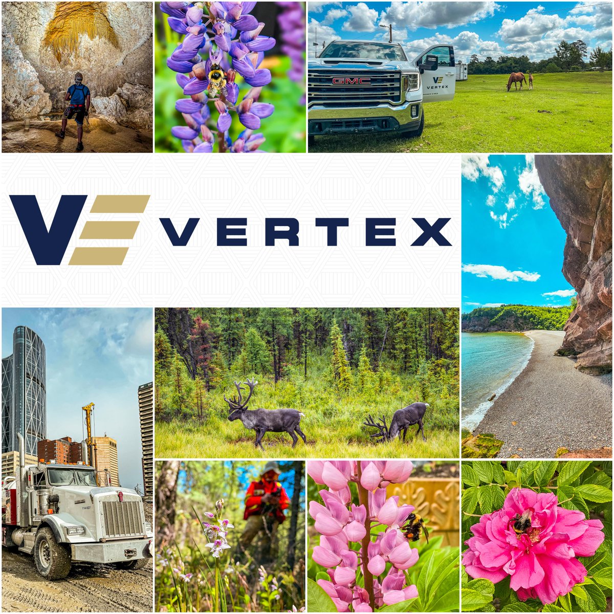 Vertex_Group tweet picture