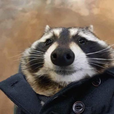 ilykraash tweet media