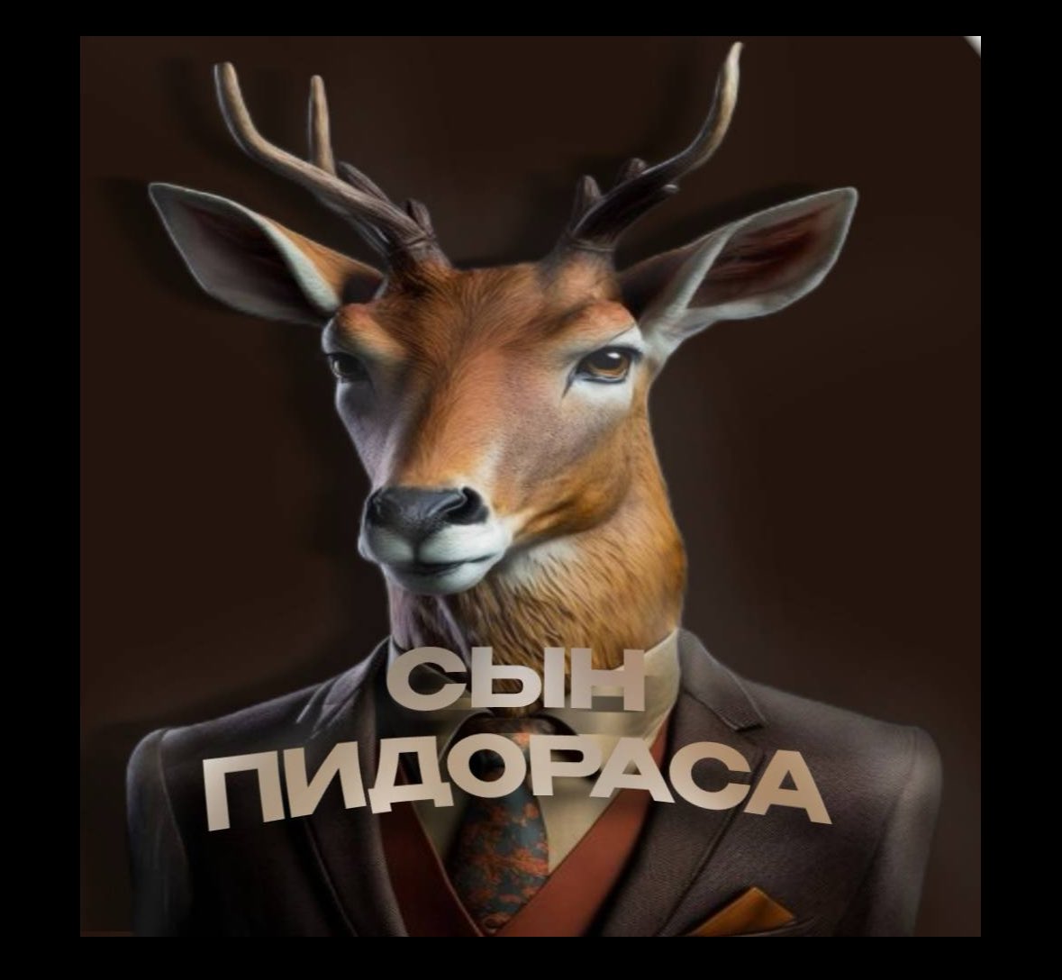 式 波 𓁹 🤳 tweet media