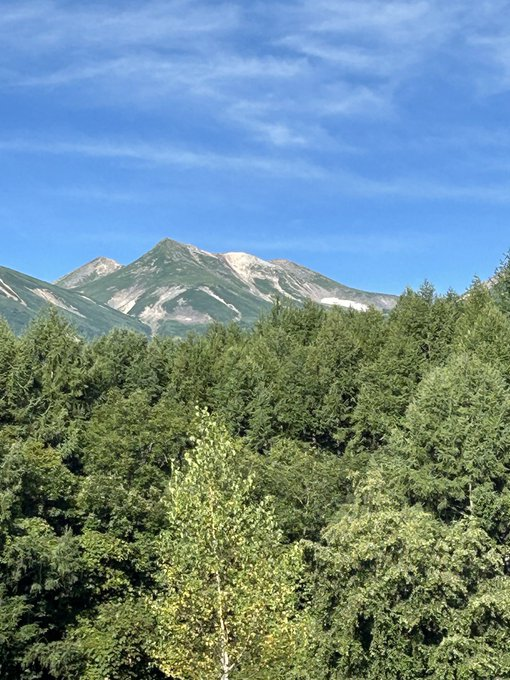 ✈天と風✈ tweet media