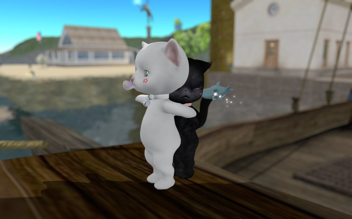 sensen_sl's tweet image. (播放鐵達尼號主題曲)