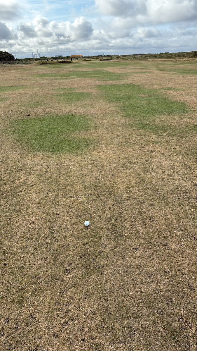 Richard Bee tweet media