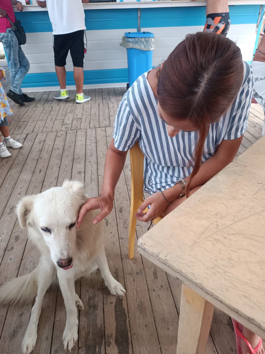 Aurora D'Amico tweet media