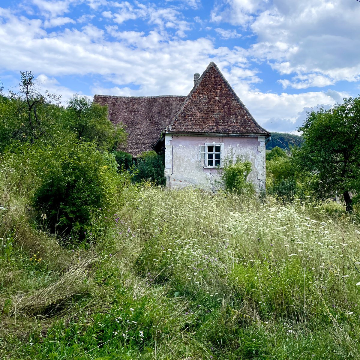 Giles Portman tweet media