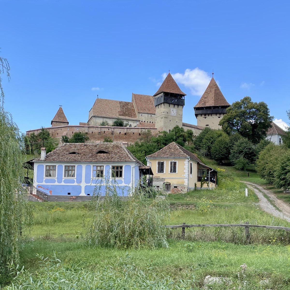 Giles Portman tweet media