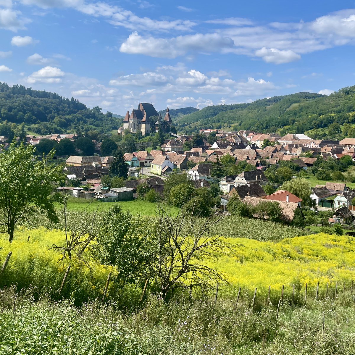 Giles Portman tweet media