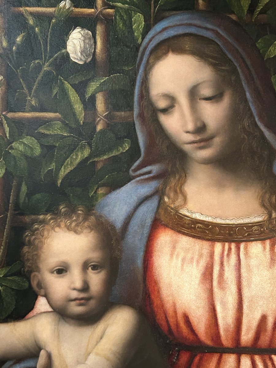 Bernardo Luini’s I have had the privilege to see and photograph. The Brera Milan 💙