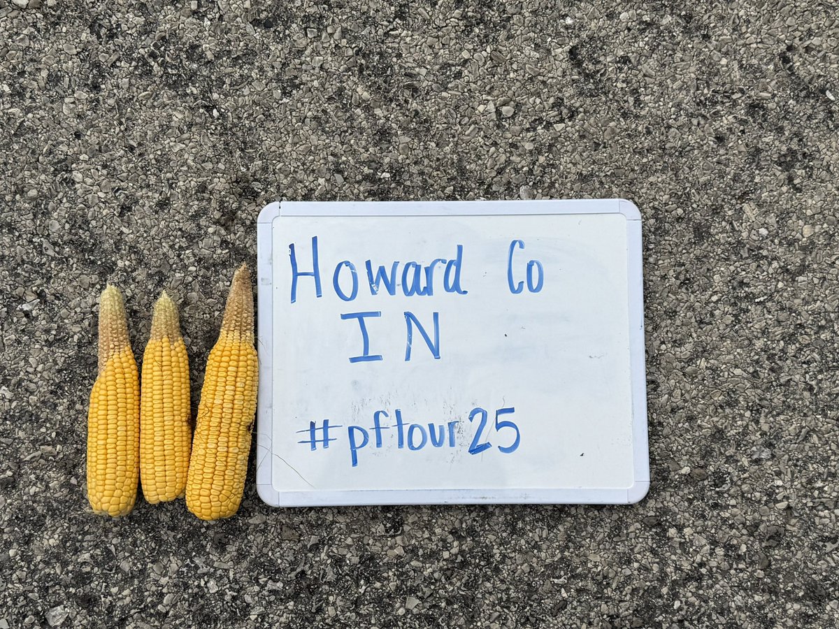 Howard County Indiana - North of Kokomo. Lots of tip back in the field 🥴
Yield estimate came to 158 by/a. 
#pftour25