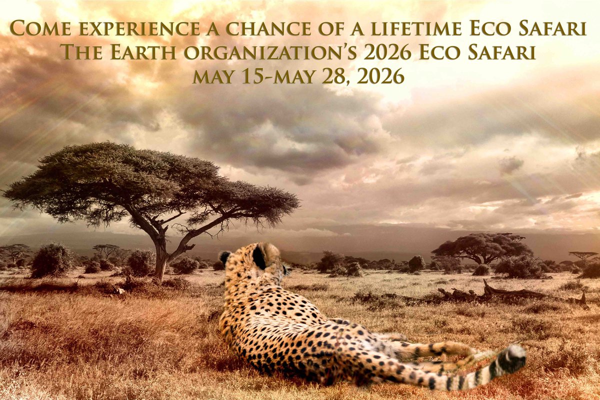 Experience a chance of a lifetime at our 2026 Eco Safari. Reservations are very limited and are filling up. And our next discount deadline is coming fast.   August 31st is almost here! theearthorganization.org/eco-safari/
#safari #ecosafari #WildSide #africa #theearthorganization #environment
