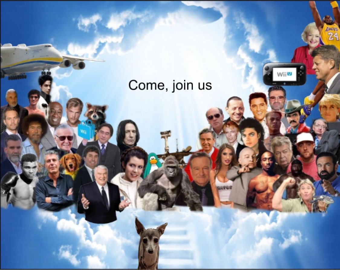 rip frisbee meyers