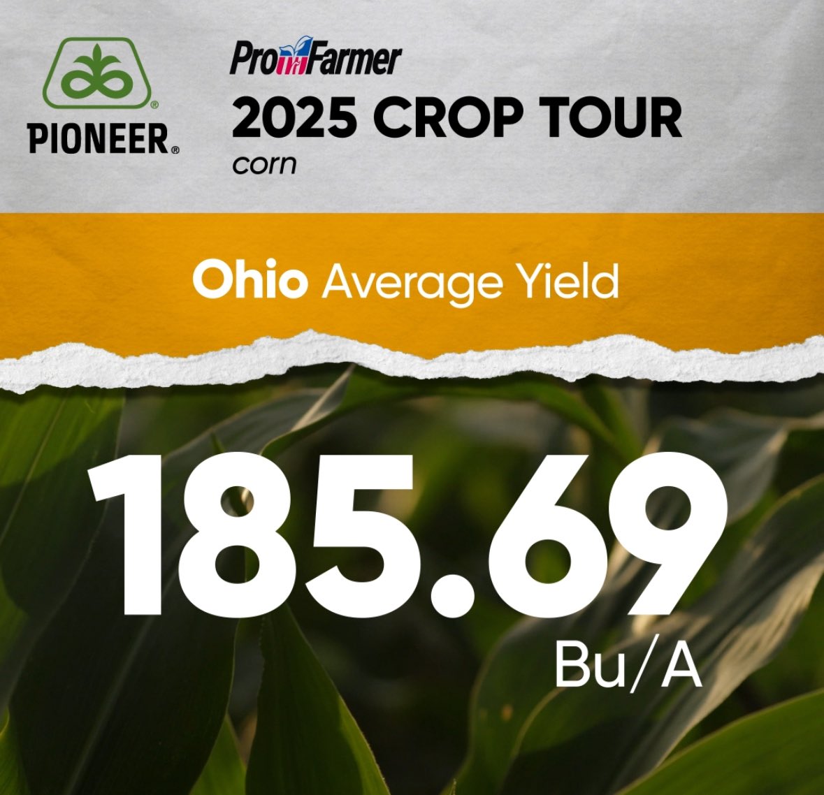 PioneerSeeds's tweet photo. #PFTour25 is officially underway!
📍OHIO
Day 1 results are in! Look at the latest findings from the field. Visit here: https://t.co/4WjelTE6MB
@profarmer #plantpioneer #profarmer https://t.co/hIJwRJ4SdD