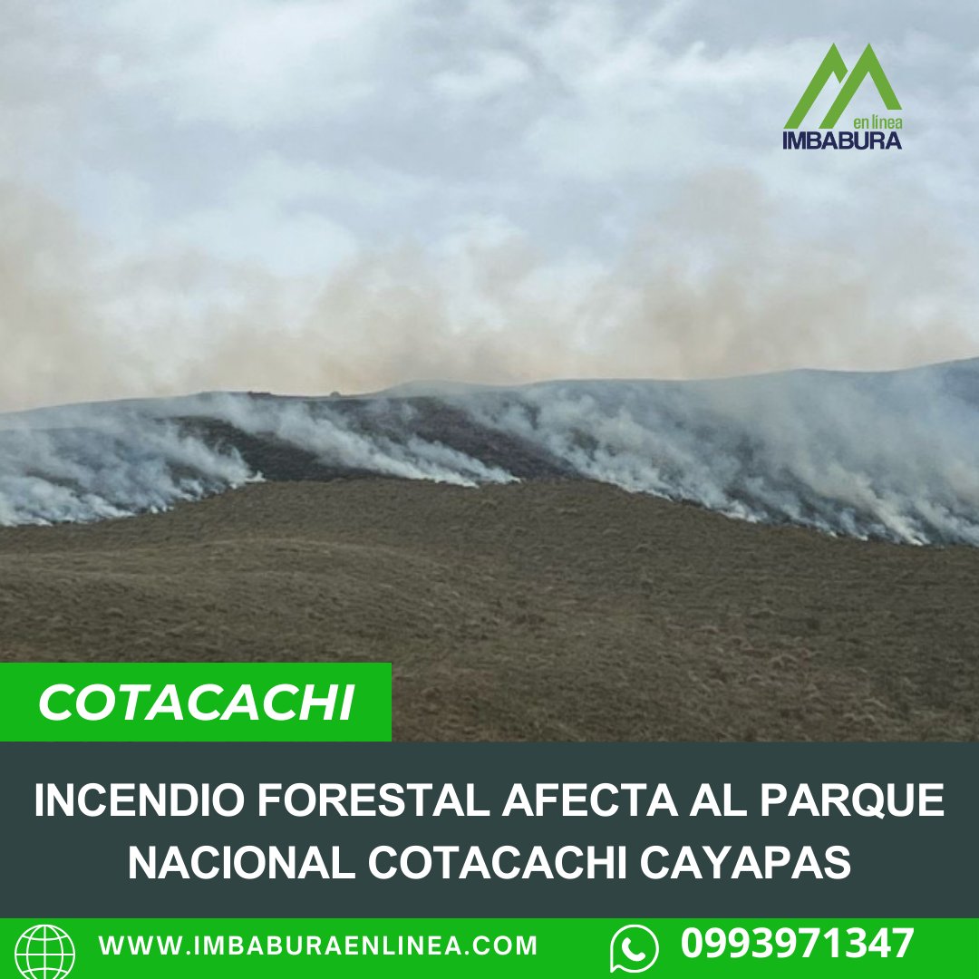 #INCENDIO Las llamas ya han afectado aproximadamente 1.000 hectáreas. Más detalles aquí: lc.cx/Ij5vrH   imbaburaenlinea.com