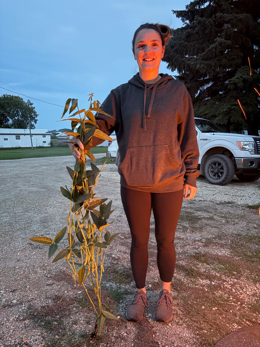 Heard someone say else beans are easy to grow just need the august rains. These should be fun