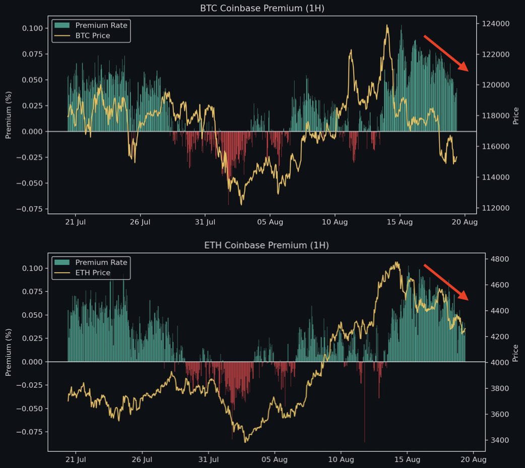 ماهان مازندرانی tweet media
