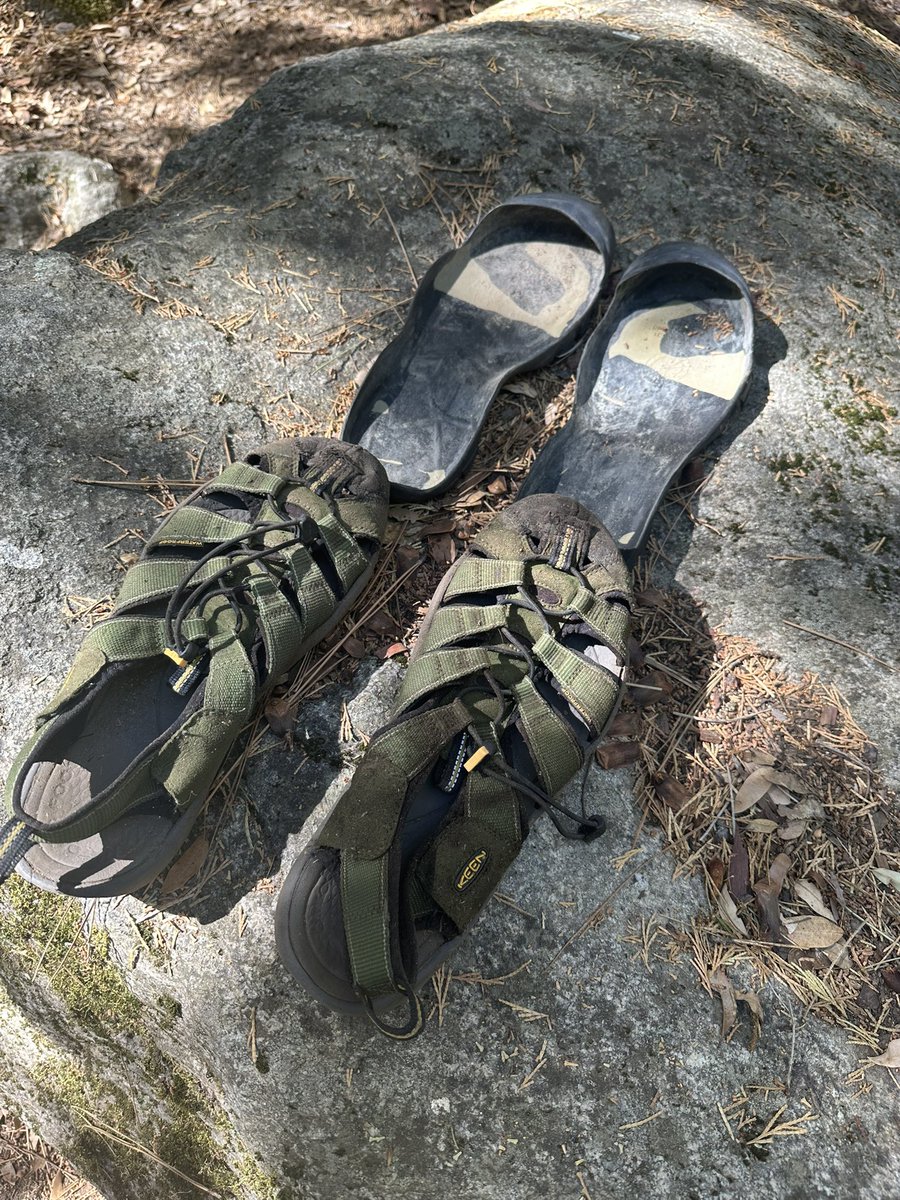 Jeff J. Schroeder tweet media