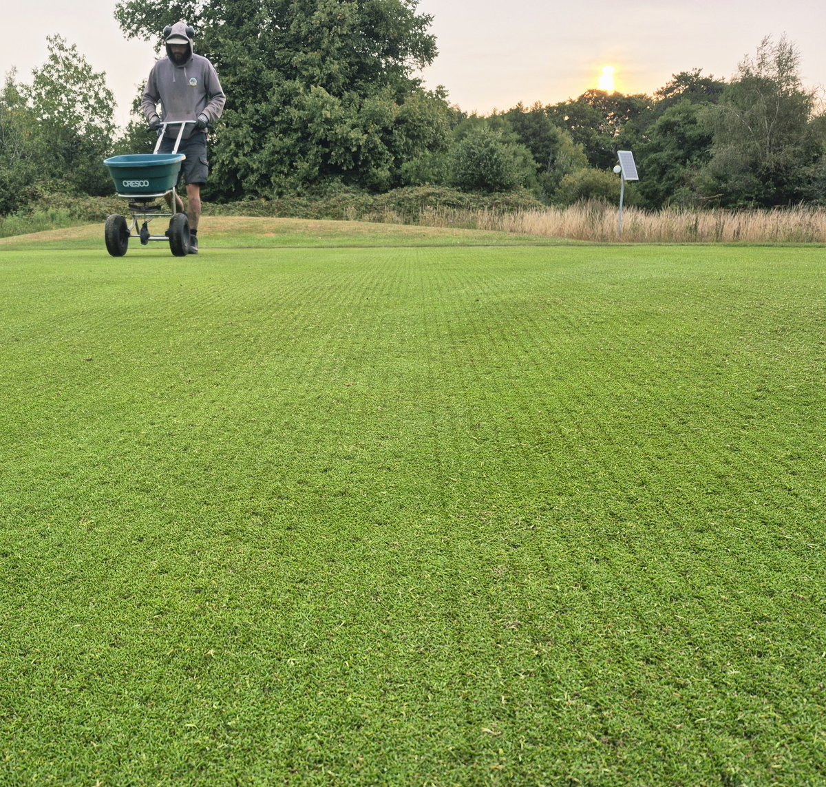 Jim Fancey tweet media