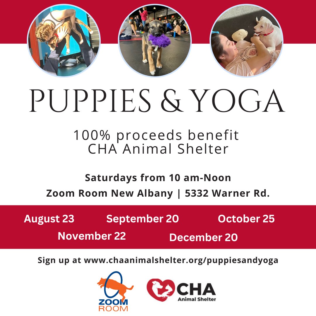 CHA Animal Shelter tweet media