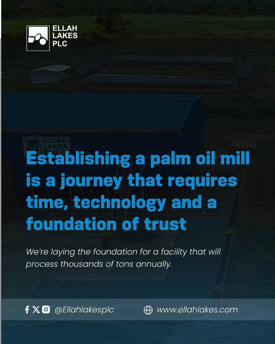 Our palm oil mill is designed to be more than just a processing plant: it’s a catalyst for value creation. 

Once operational, it will handle thousands of tons annually, supporting local farmers, driving industrial growth, and reinforcing Nigeria’s food security.