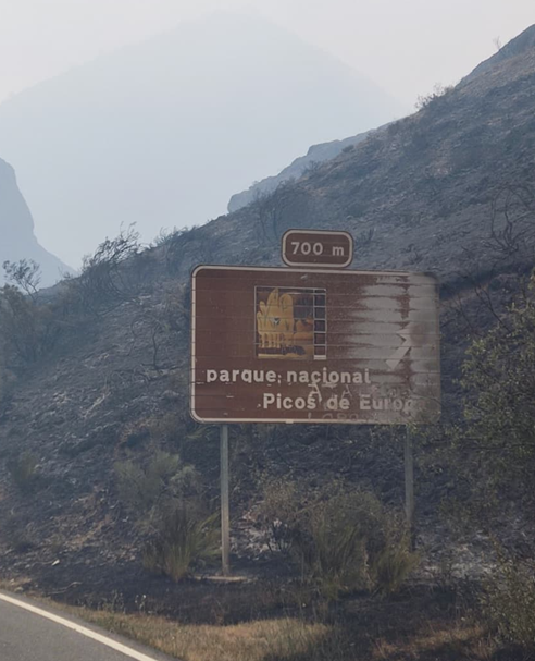 (1/14) Llevo varios días pensando en escribir sobre el episodio de incendios que está ocurriendo en León y no he sido capaz de poner los pies a tierra. Están ardiendo los lugares que me han hecho sentir más libre y salvaje (Picos de Europa, Omaña o El Bierzo, entre otros).