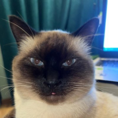 puiglover6's tweet photo. @m0us1afaV3 M0us1afa 2025 statistic

0 talking phases
0 dates
0 times women brought home
2 times dad questioning sexuality
M-shape hairline

#MoustafaMuse #StatMuse' https://t.co/5AJQMVpHCj