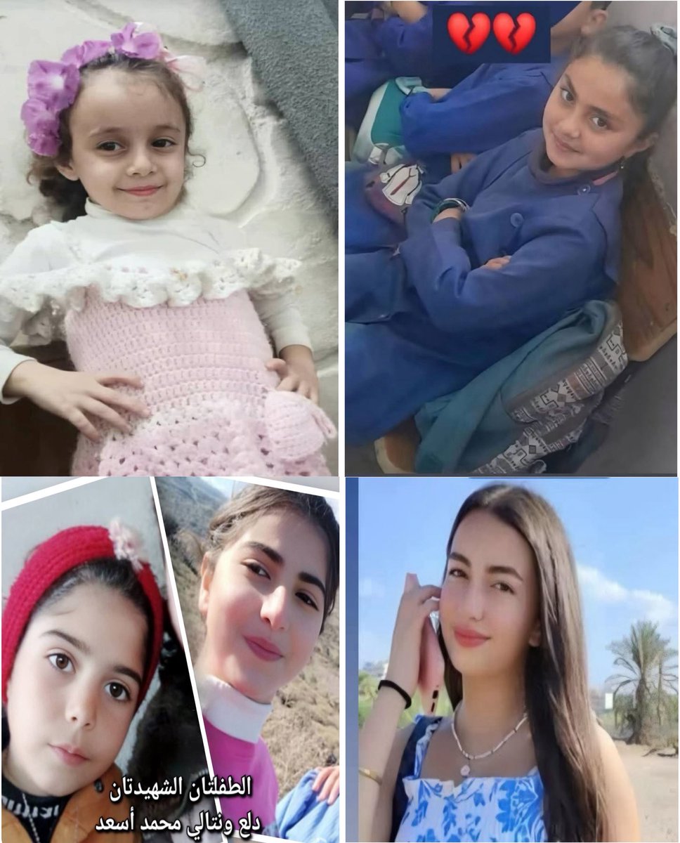 Syrian Democratic Ob. | المرصد الديموقراطي السوري tweet media