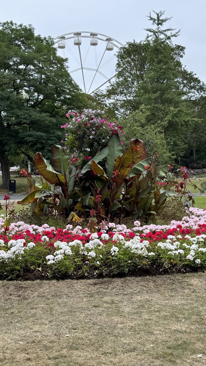 Even on a dull day Harrogate still looks lovely. There will be amazing views from the top of the Big Wheel. 👀🎡🔭 ⁦<a href="/The_RHS/">The RHS</a>⁩ @hadca ⁦<a href="/HGchamber/">Harrogate District Chamber of Commerce</a>⁩ ⁦<a href="/BidHarrogate/">Harrogate BID</a>⁩ @yorkshirebloom