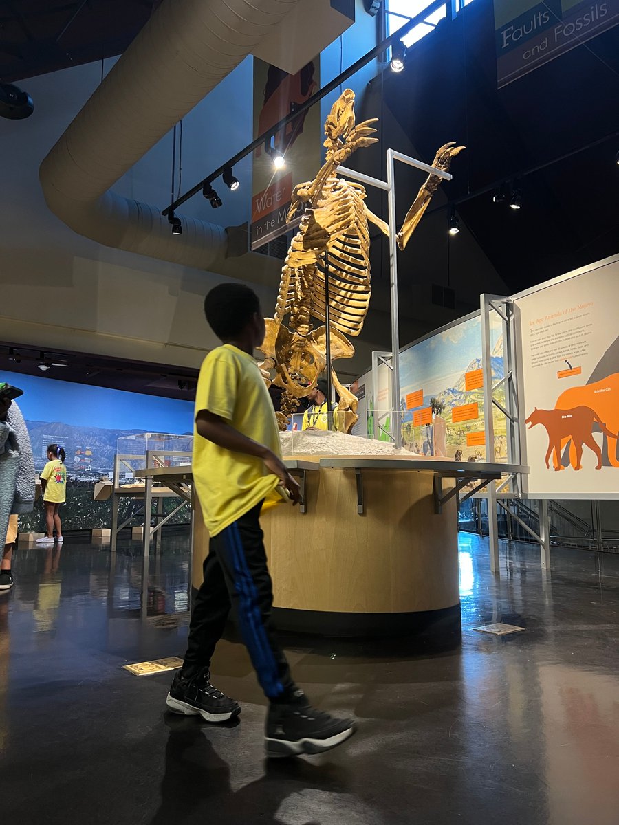 SBCountyMuseum's tweet photo. 📸 Happy #WorldPhotographyDay!
We’re celebrating with memorable shots from our staff &amp; volunteers—behind-the-scenes moments, unique exhibit views, and everyday museum magic at #SBCM. https://t.co/LukdUCefm1