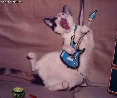 oisiniskewl tweet media