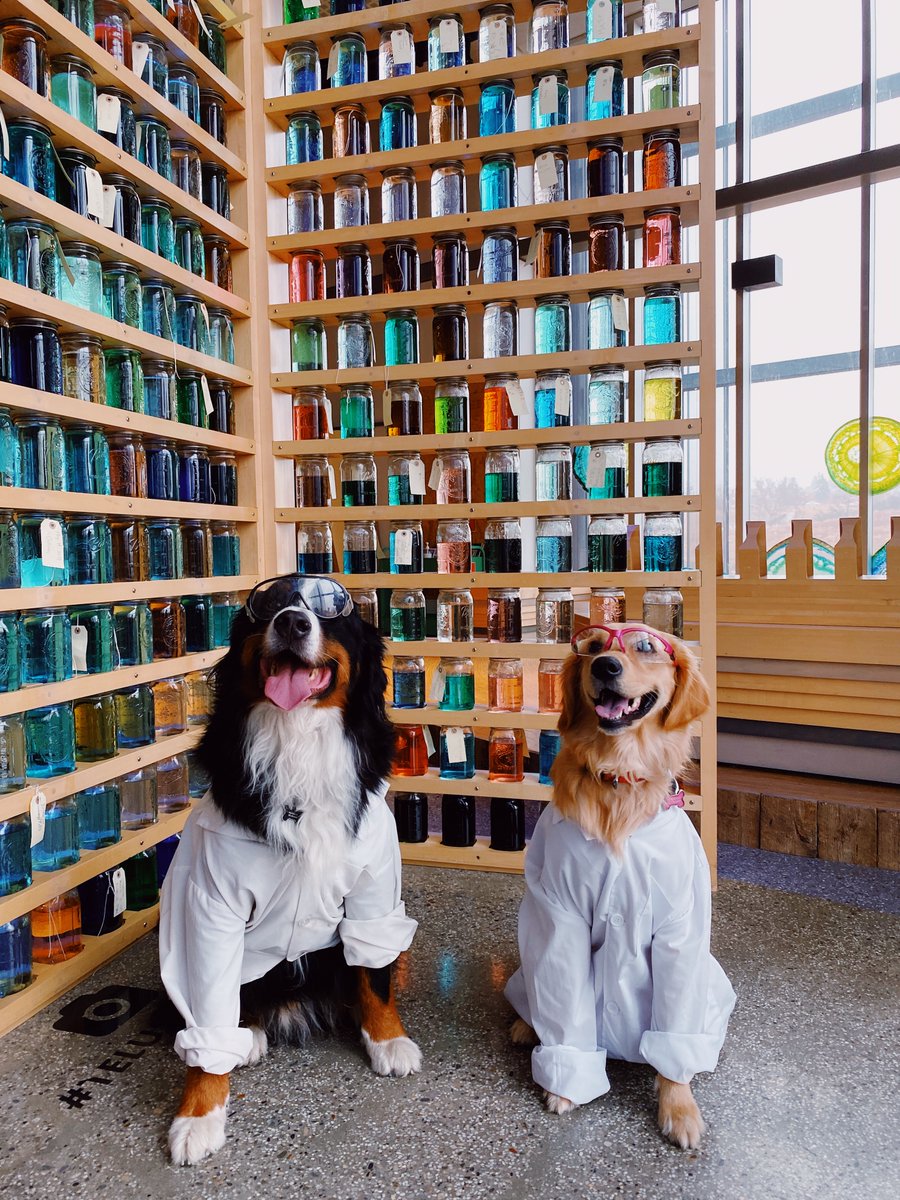 Does kindness matter?
It ABSOLUTELY DOES.
It matters more than ever.
Give us two minutes and we will explain the science behind the power of being kind.
🧵
#TSPST