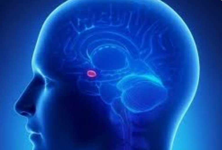 Başka bir yaşama paralel geçiş mi yapmak istiyorsun?
Ya da bir kaç saat ortalardan kaybolduğunu hissettin mi?
İşte 
Anahtar burada
Bu sayede.
Gözlerini kapat ve bir an için zihninin derinliklerine yolculuk yap. Beyninin tam merkezinde, iki yarım kürenin arasında, çam kozalağına