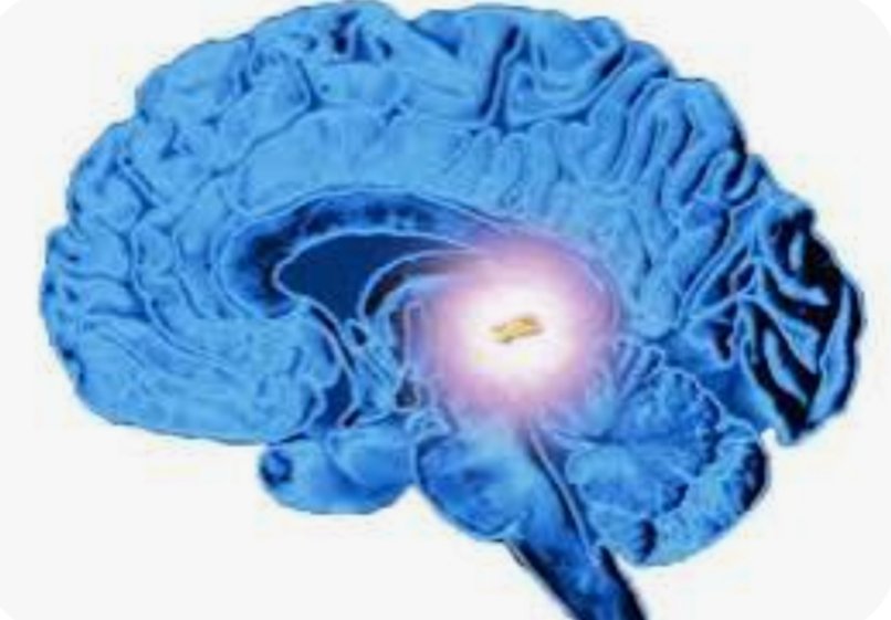 Bu “başka boyut”, zaman ve mekanın ötesinde bir yer olabilir. Rüyalarımız, bu boyutta şekillenir ve pineal bez, bu boyuttan gelen görüntüleri algılamamızı sağlar. Eğer pineal bezde ışığa duyarlı kristaller varsa, bu kristaller, basınç altında renkli ışık yayabilir. Bu ışık,