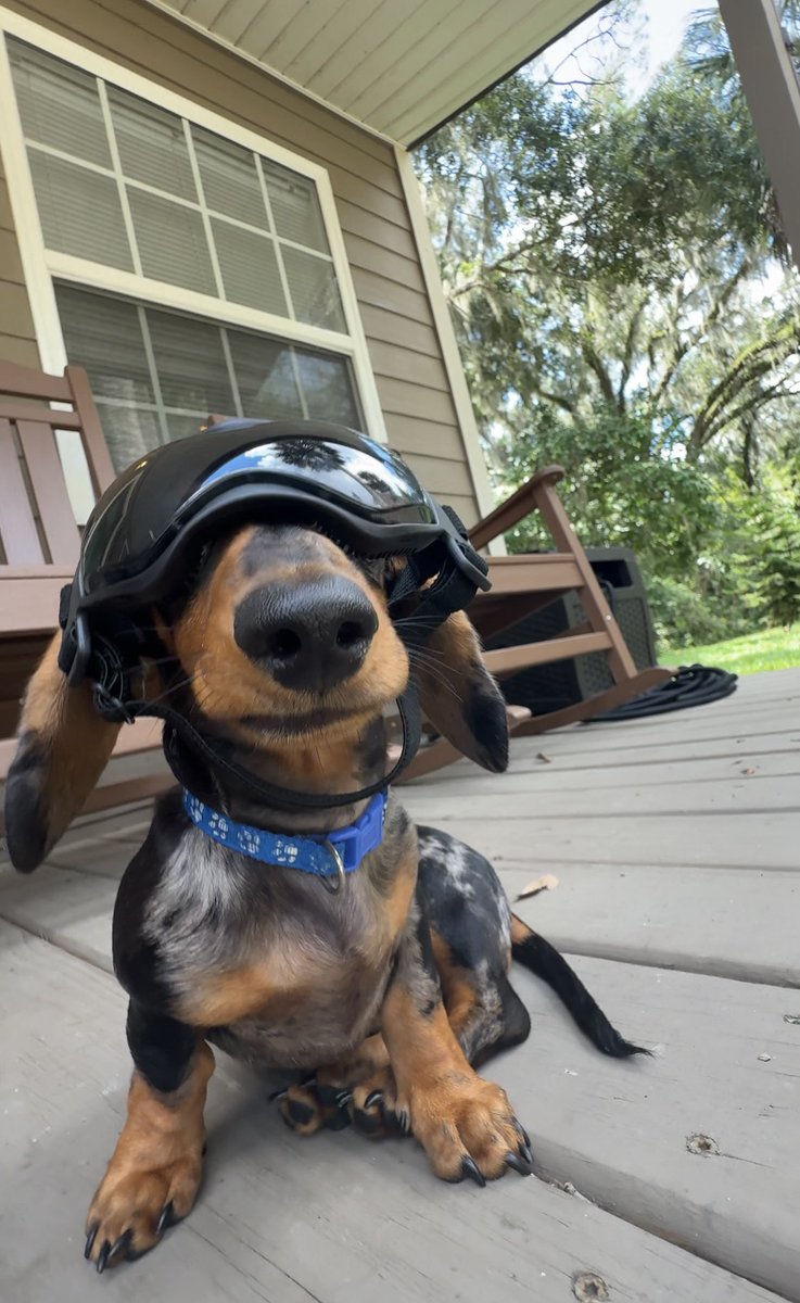 Rocky’s new eye protection for our bike rides