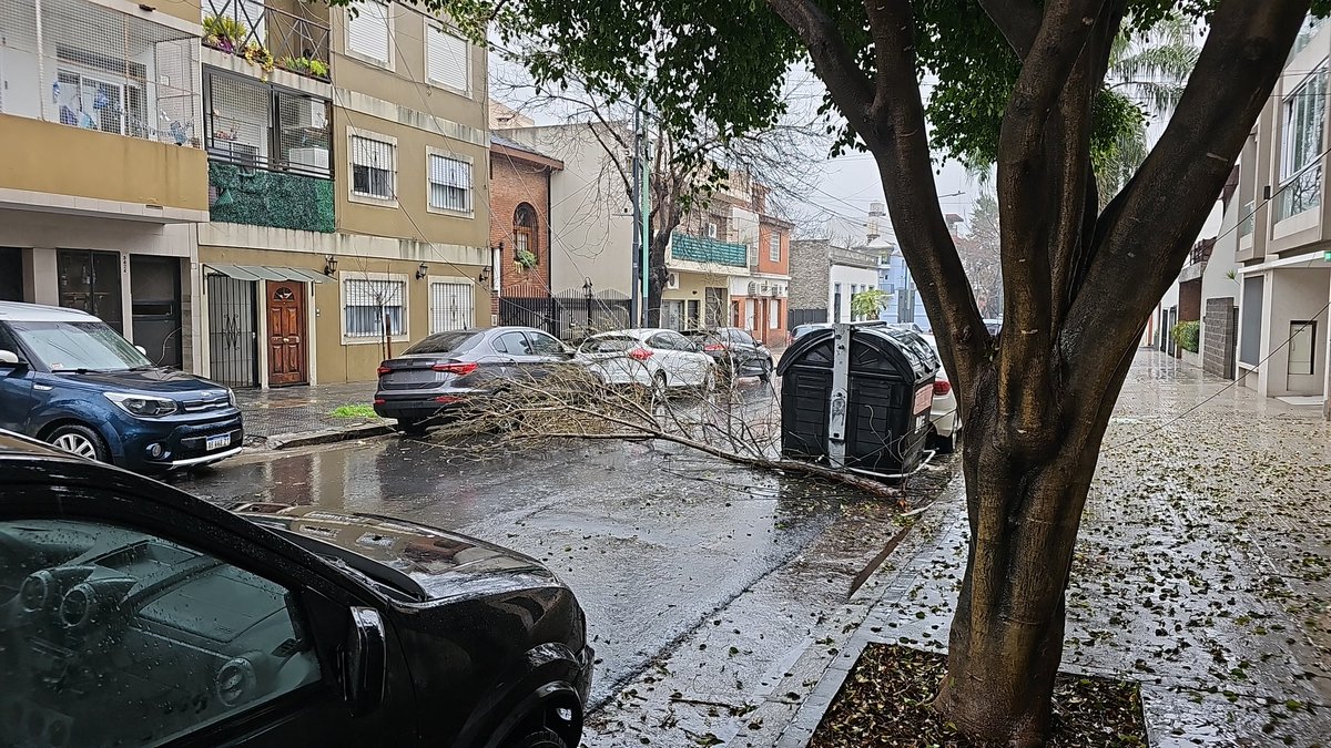 M C L S (@marianoclopez) on Twitter photo Achega 3415, Capital
#lluvia #temporal #ciclogenesis <a href="/gcba/">Buenos Aires Ciudad</a> <a href="/ciudad_magazine/">Ciudad Magazine</a> <a href="/todonoticias/">TN - Todo Noticias</a> Achega 3415, Capital
#lluvia #temporal #ciclogenesis <a href="/gcba/">Buenos Aires Ciudad</a> <a href="/ciudad_magazine/">Ciudad Magazine</a> <a href="/todonoticias/">TN - Todo Noticias</a>