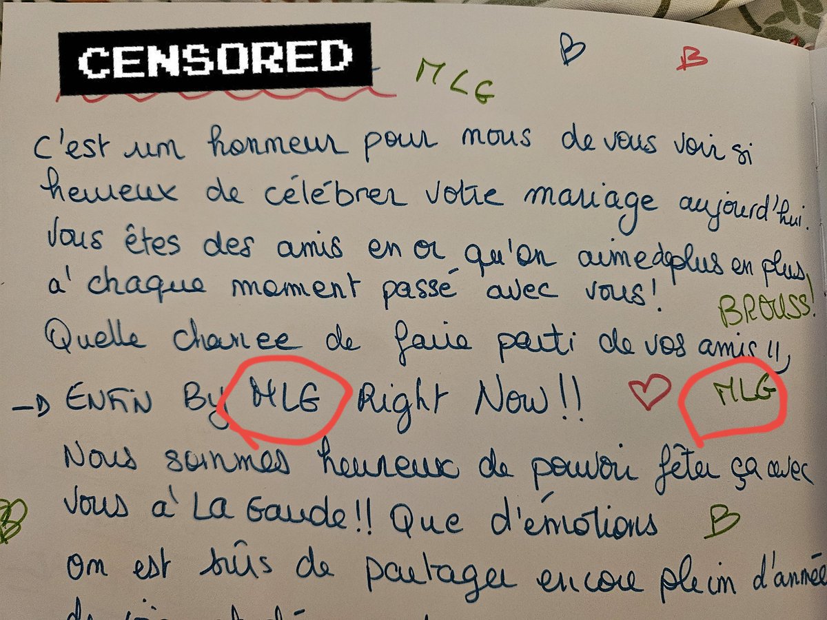 My wedding guestbook will carry $MLG until my death, and for future generations.

If you bet on a community that enjoys raiding and bullposting,
you’ll win every time.  
it will only depend on your patience and your conviction to calmly wait for your turn.

I’ve brought all my