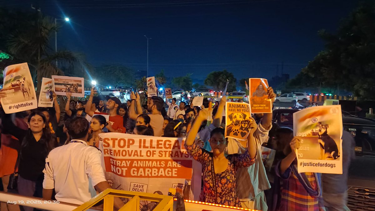 JaiBharat_Ind's tweet photo. 30.04.2023 - FIR logged on 72 Residents of Palm for #peaceful march imside gated societies #StrayDogMenace
After #SCOrders
19.08.2025 - @112 @DCPCentralNoida - Can FIR be logged against today big protest by mob without permission on roads & infront of #PalmOlympia.. #Justice https://t.co/0mfDLzGPbK