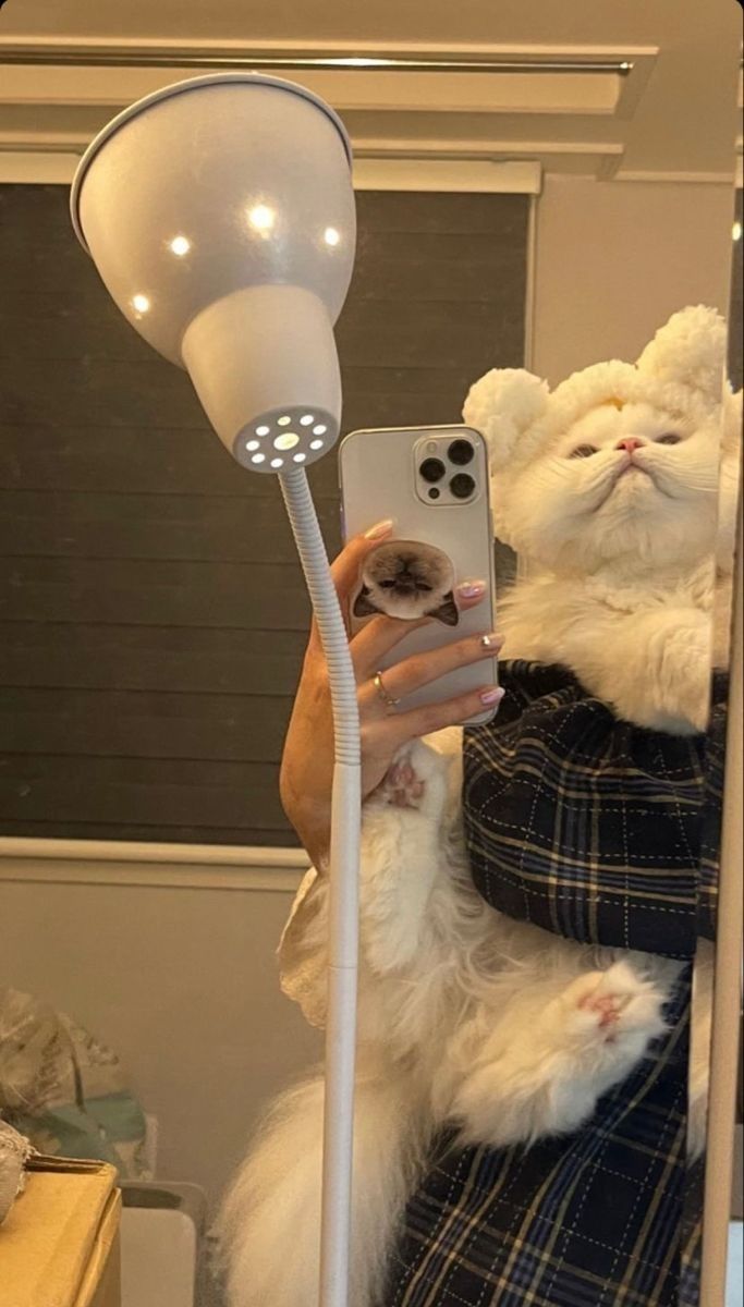 𝐋𝐚𝐯𝐞𝐧𝐝𝐞𝐫. tweet media