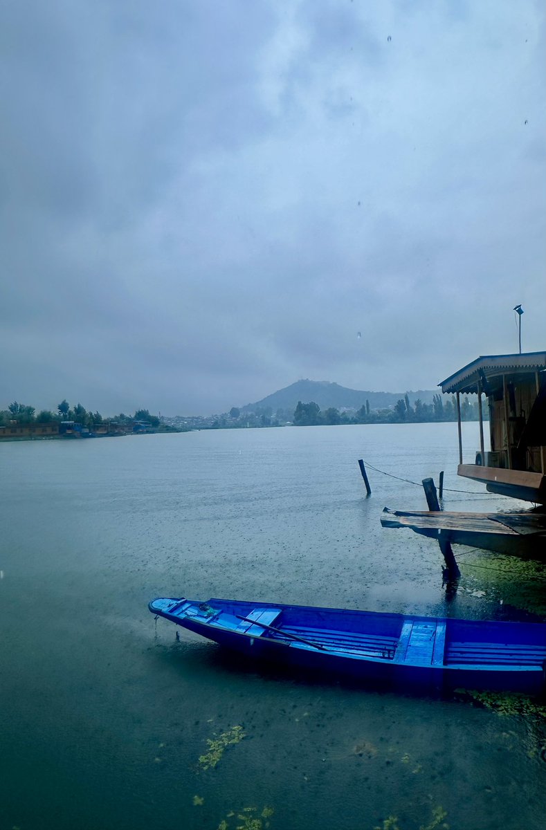 “You used to believe that with age you would become less unhappy, because you then would have reasons to be sad. When you were still young, your suffering was inconsolable because you believed it to be unfounded.”