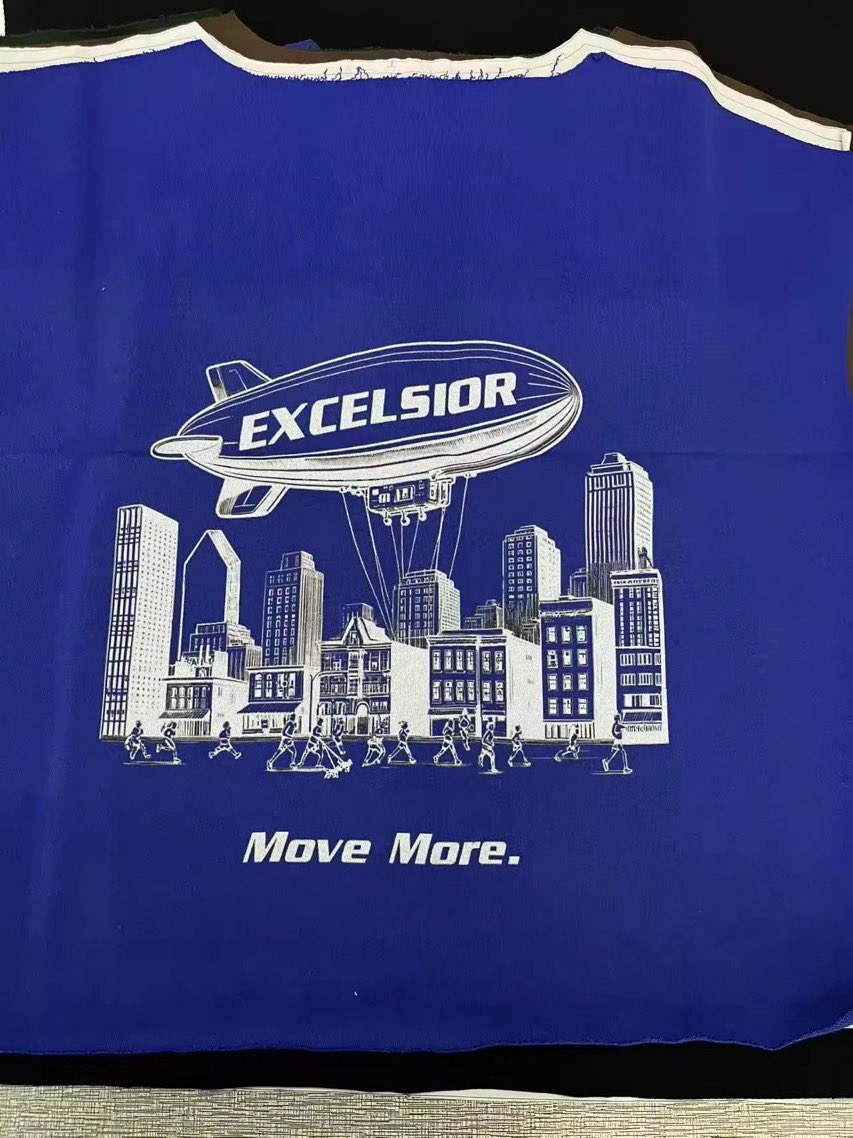 Excelsior tweet media