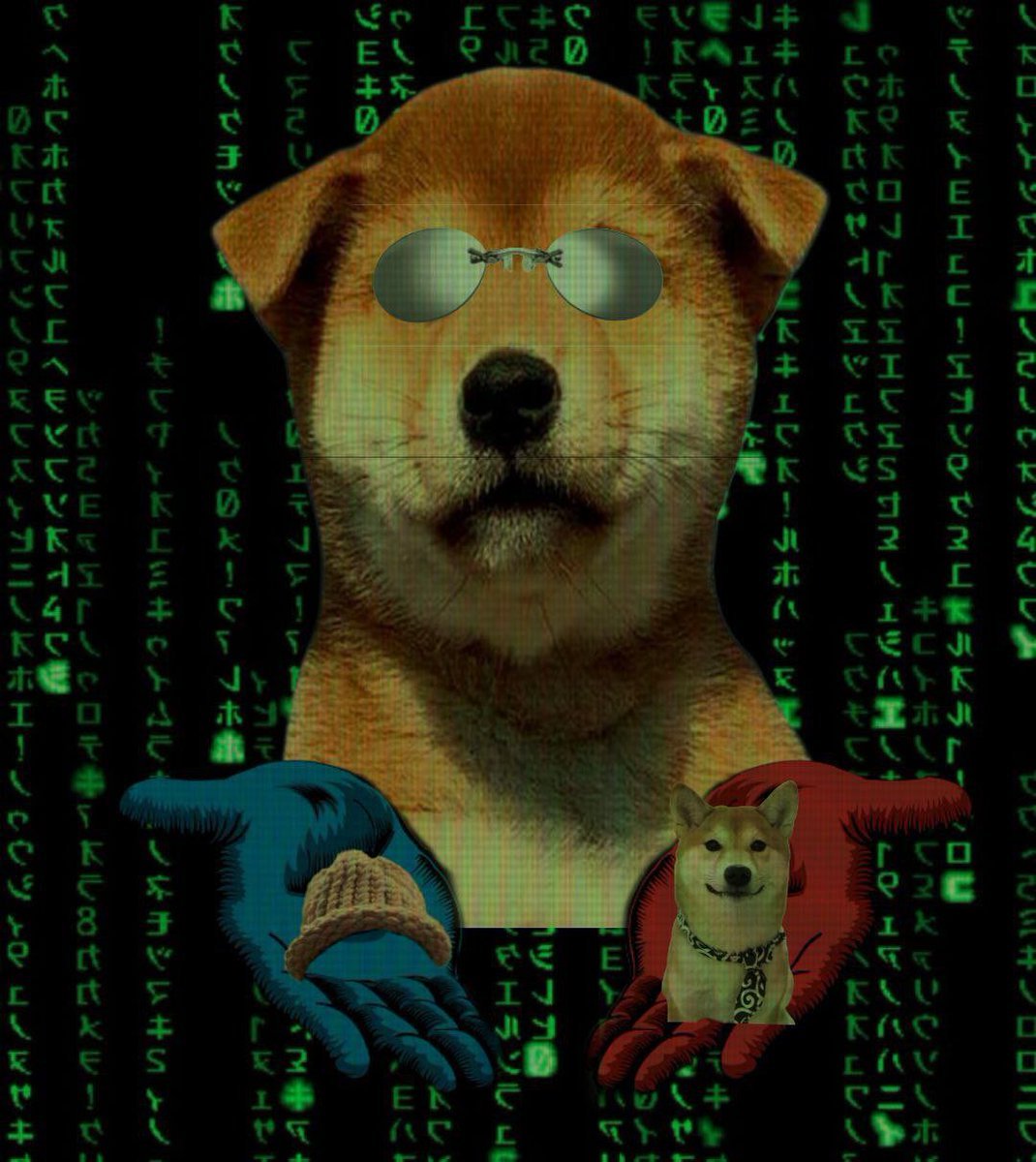 10k retweets have been paid for by Danny! Achi will met faces!
5h8gxH2s71heWL3M41zzU4D3NrEqd8smBdUhW6DAChi #Achi