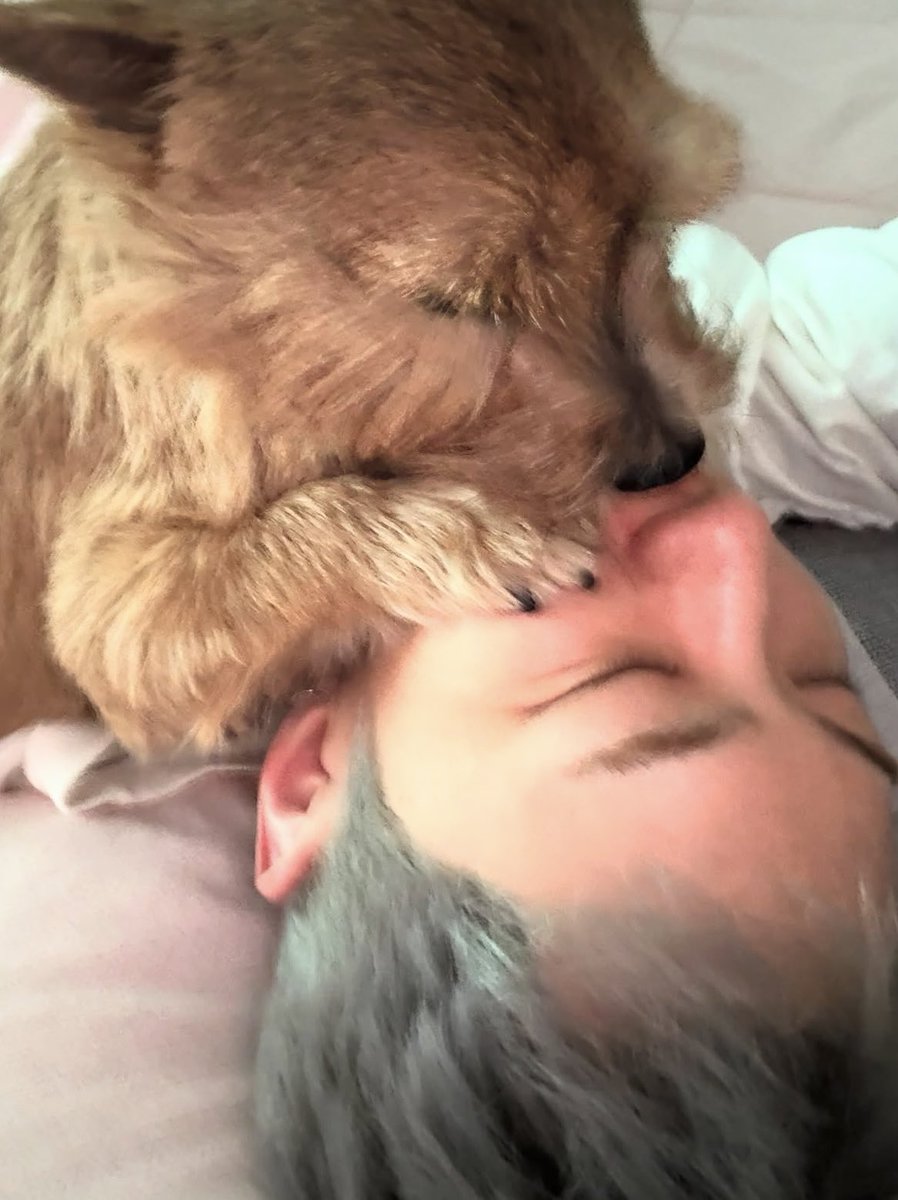 사실상 라떼가 최종승자라고 볼 수 잇죠(…..)