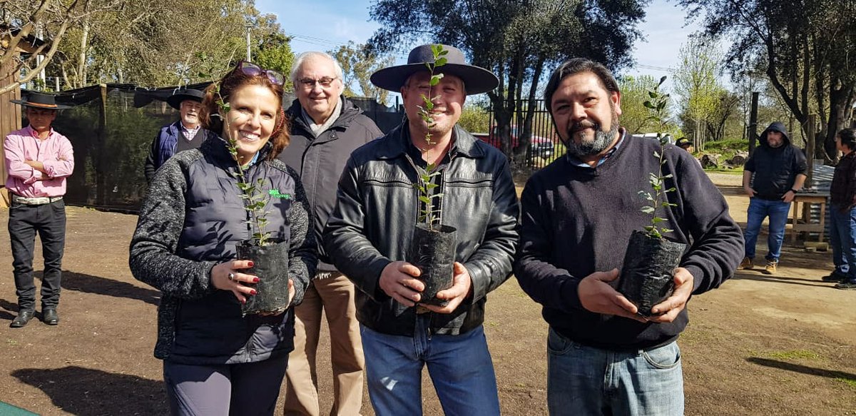 conaf_maule's tweet photo. Las bondades del #alcornoque serán aprovechadas por pequeños vitivinicultores de #Cauquenes, a quienes donamos más de 500 plantas para que en el futuro puedan autogestionar la fabricación de corchos, un insumo básico para el rubro vitivinícola🍷🍇. https://t.co/r6Qxsl95j9