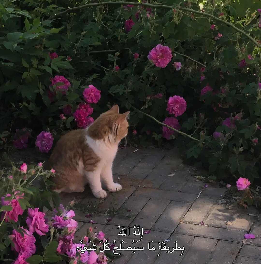 تذكير (@almsllim) on Twitter photo  تذكير (@almsllim) on Twitter photo