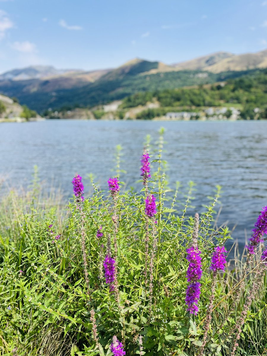 Petite balade autour d’un super lac 
Le lac de Loundevielle, toujours dans les Pyrénées 
Des endroits dédiés aux enfants, une super balade et de la nature 
Tout ce dont j’ai besoin pour me ressourcer 😃