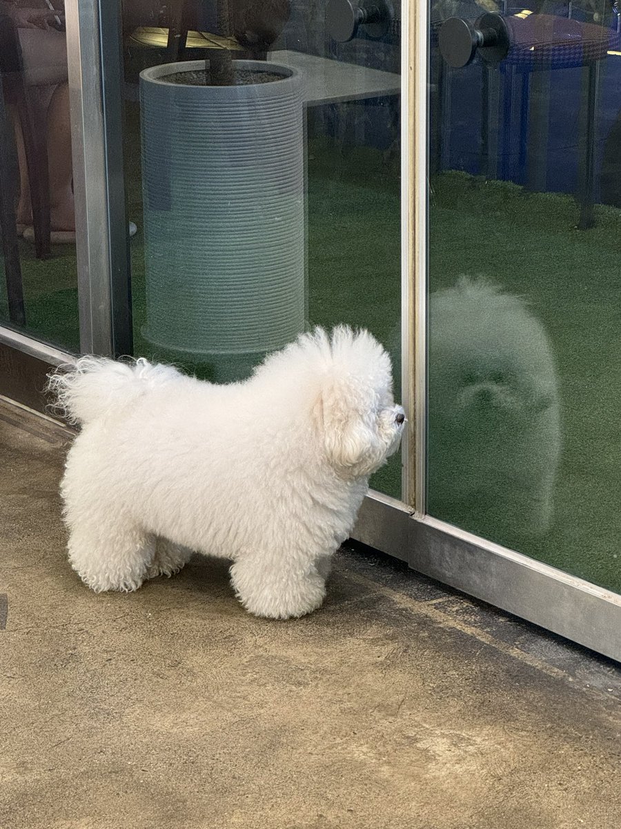 사랑만 받고 10ㄷㅏ ❤︎