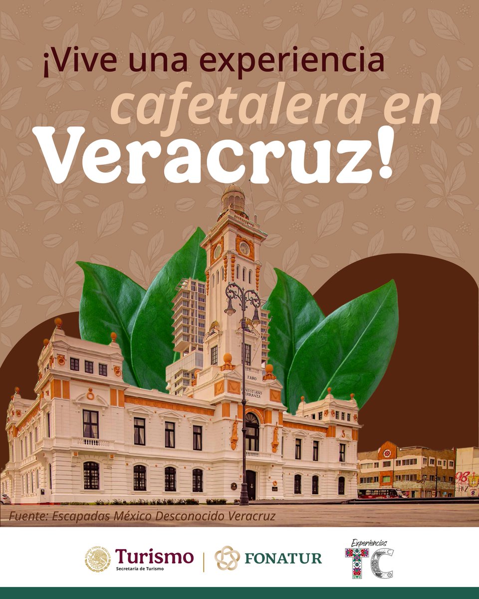 FonaturMX's tweet photo. ¡El café que nace entre la comunidad! 🌱☕

Descubre el sabor, la historia y la gente que está detrás de cada taza de café en Veracruz. 🤓

👉 ¿Te atreves a viajar de forma diferente? https://t.co/1mnFiqRO5E