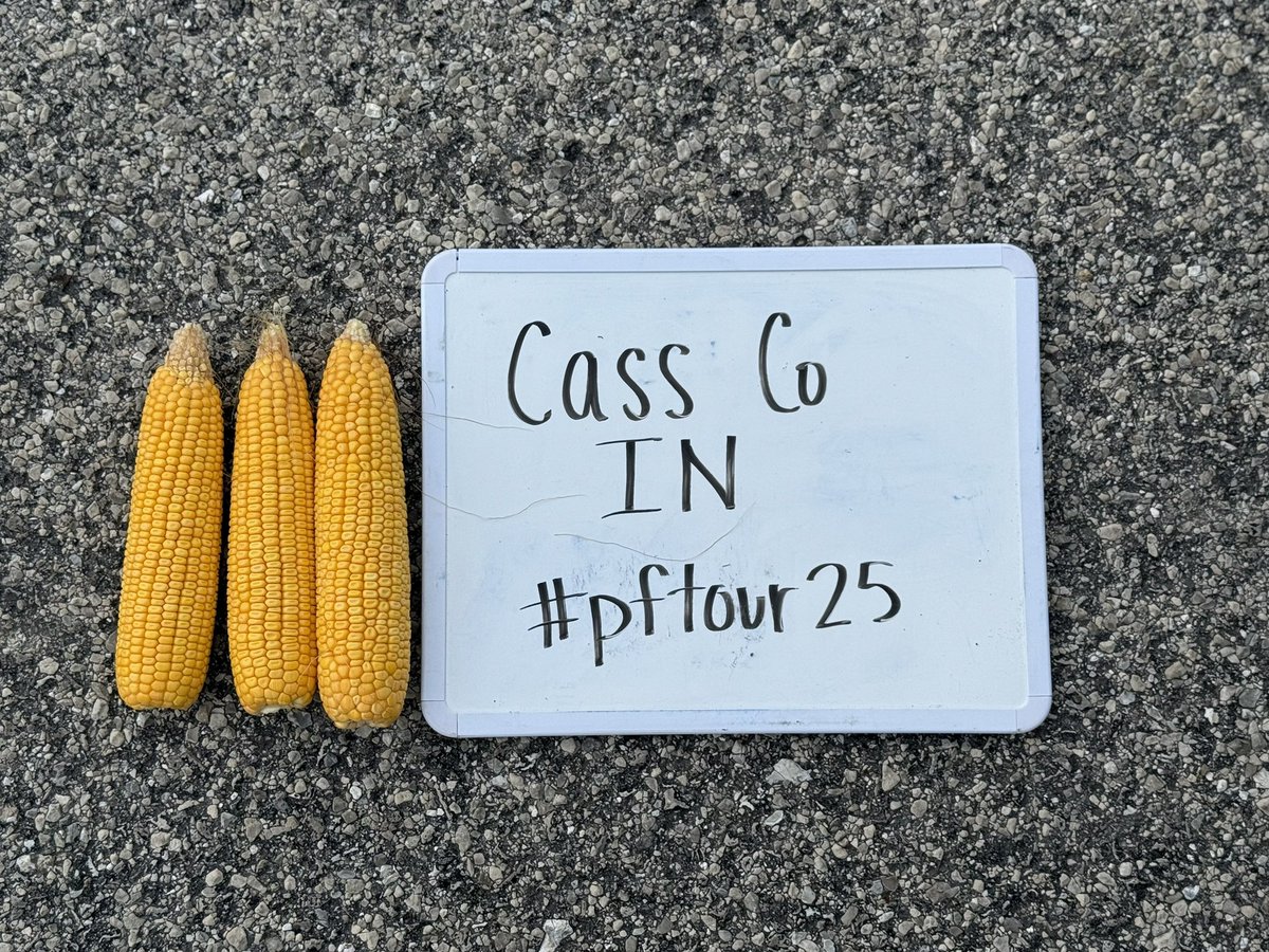 Cass County IN- West of Galveston.
Approx bu/a 228. #pftour25
