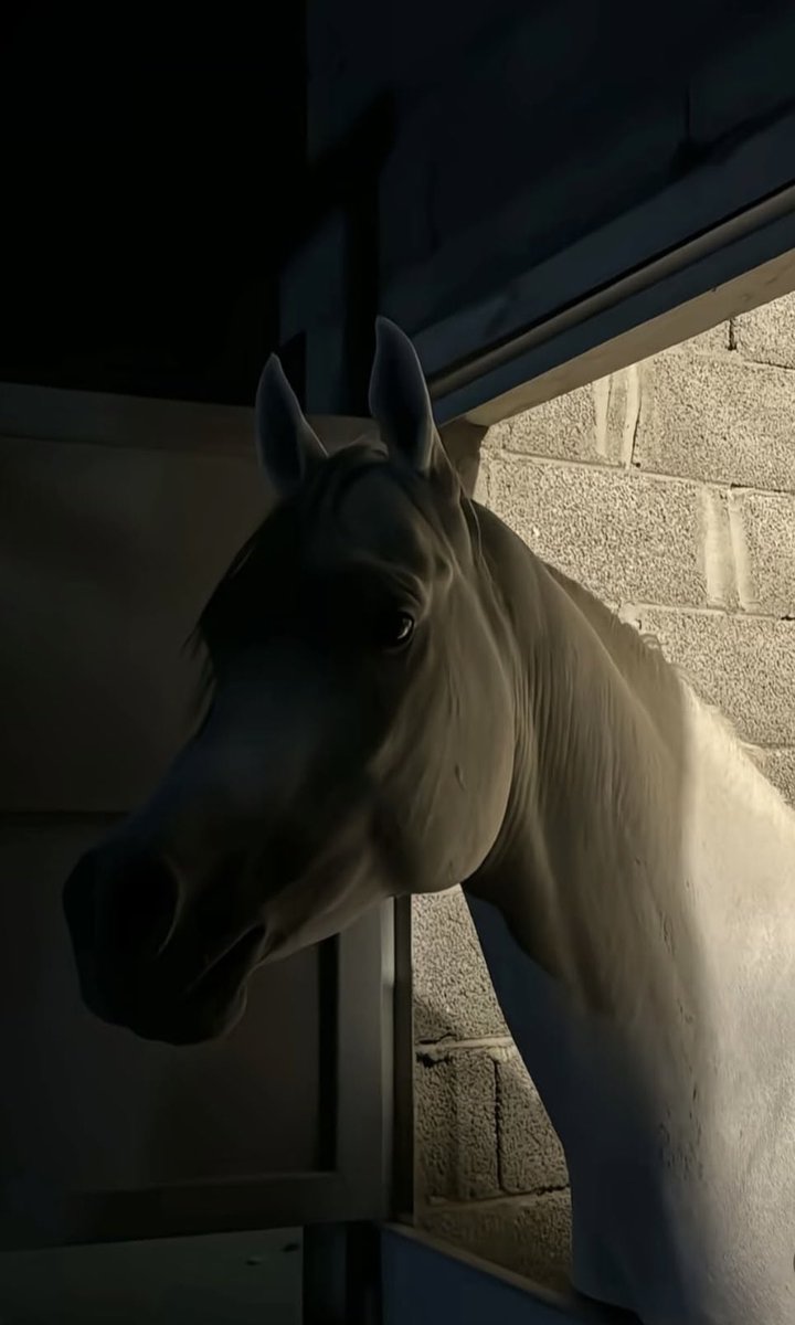 ش͠ه͠د͠ 𝓢𝓗𝓐𝓗𝓓 tweet media