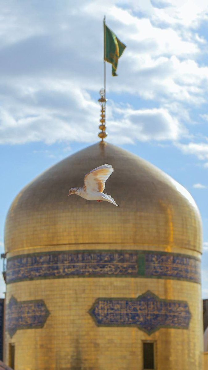 وقتی زائری از راه دور وارد مشهد میشه، اولین چیزی که ازش می‌شنوی اینه: «همین که چشمم به گنبد افتاد، دیگه همه غصه‌هام یادم رفت.» انگار نگاه به گنبد طلا کلیدیه برای باز کردن قفل‌های دل.

#دیار_امین_ولایت