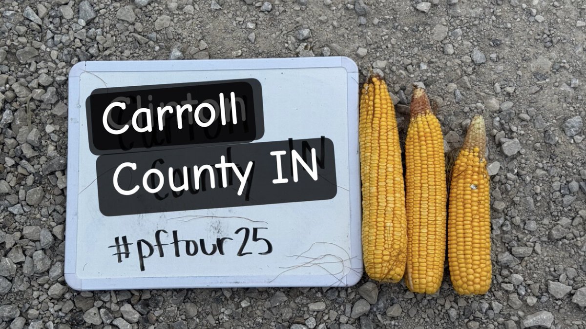 Carroll County Indiana stop - south of Flora. Yield estimate 210.2 bu/a
#pftour25
